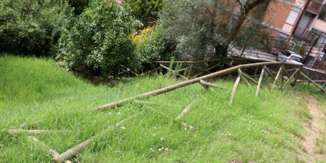 Degrado nei parchi e nelle aree verdi, il Pd “solo tagli”