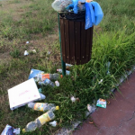 Un vialetto sul prato