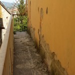 Degrado e incuria in Via delle Streghe: scritte sui muri, erba alta e sporcizia