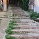 Degrado e incuria in Via delle Streghe: scritte sui muri, erba alta e sporcizia