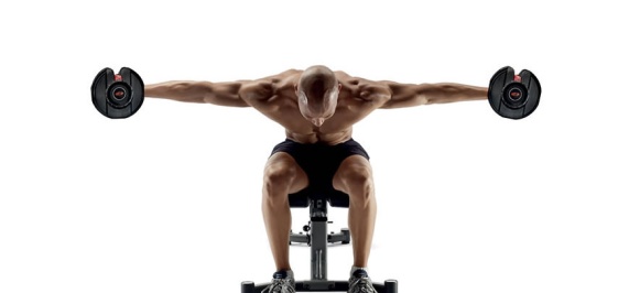 Massa muscolare: miti e certezze