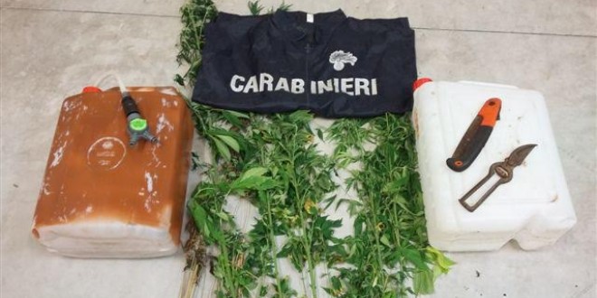 Stalker arrestato per aver violato il divieto di avvicinamento