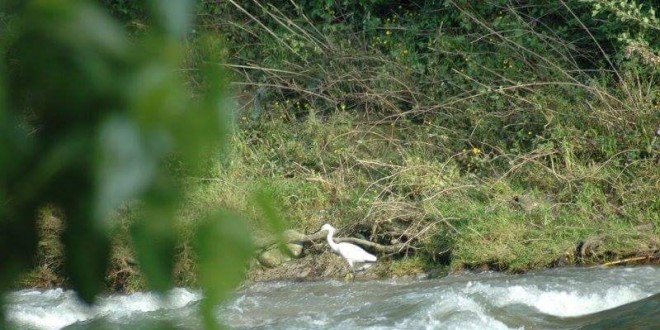 San Giustino, iniziati i lavori di ripulitura del Tevere