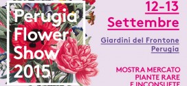 Presentata l’edizione invernale di “Perugia Flower Shop”, in programma dal 12 al 13 settembre