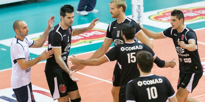 Volley, Sir Safety Conad Perugia sconfitta da Molfetta (1-3) nella finale della “Sieco Service Cup”