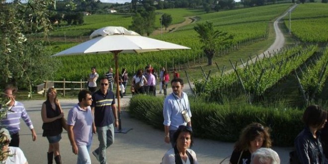 Oltre 3000 presenze per “Cantine aperte a San Martino”