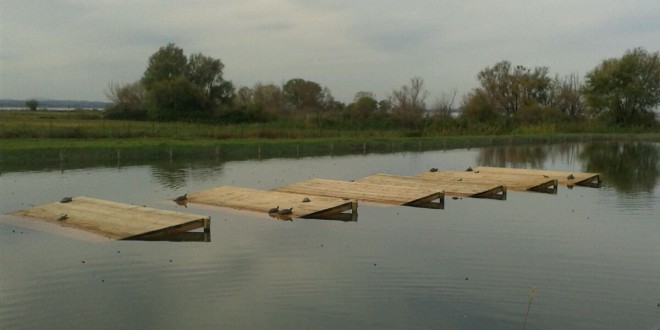 Trasimeno, inaugurato un nuovo impianto per le tartarughe del Centro ittiogenico