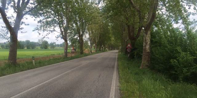 “Basta morti su quella strada: giustizia per nostro figlio”