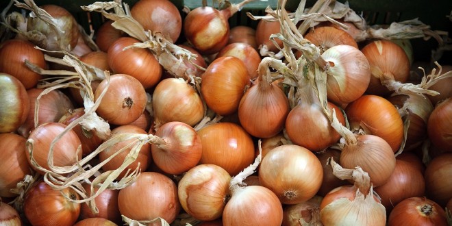 Tutto pronto per la Winter edition della festa della Cipolla di Cannara: dal 4 all’8 dicembre