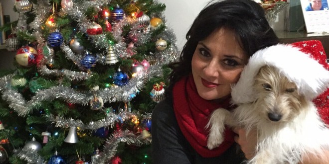 Vietare i botti di San Silvestro per tutelare i nostri amici a 4 zampe, odg consigliera Mori