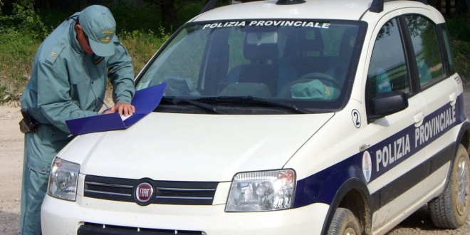 Amelia, denunciato il titolare di un’azienda vinicola: scaricava nella fognatura reflui industriali