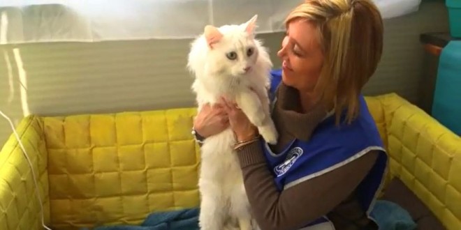 Consegnati i pasti per i pet del rifugio Enpa di Perugia