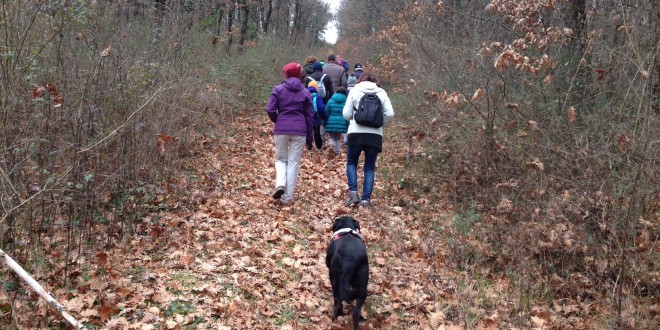 Bimbi e cani felici e sani (in cammino a Collestrada)