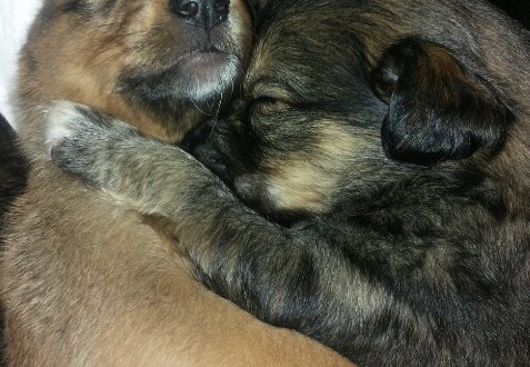 Alla scoperta del progetto RandAgiamo