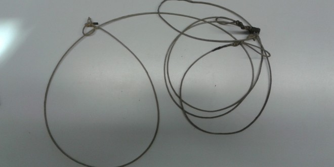 Polizia provinciale: caccia con mezzi non consentiti in periodo di divieto assoluto, maxi multa