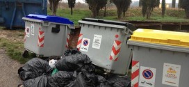 “Il canile di Collestrada è nel degrado”, Mori (Pd) lancia l’allarme