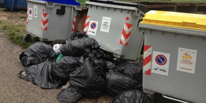 “Il canile di Collestrada è nel degrado”, Mori (Pd) lancia l’allarme