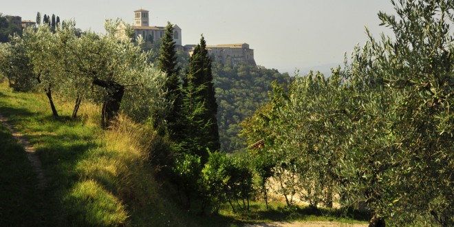Al bosco di San Francesco la seconda edizione de “Il fantastico mondo delle api”