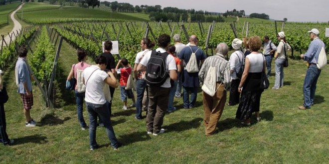 Il 28 e il 29 maggio in Umbria torna “Cantine Aperte”: ecco le iniziative in programma
