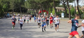 Oltre 270 partecipanti per la manifestazione “Muoviti e corri a Torgiano!”