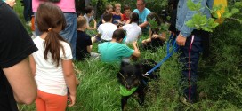 Bimbi e cani, ultima passeggiata della stagione a Collestrada
