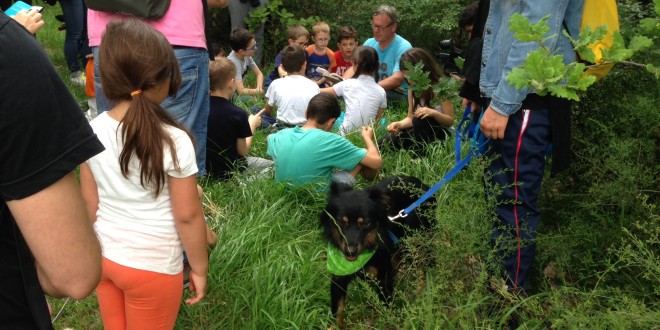 Bimbi e cani, ultima passeggiata della stagione a Collestrada