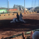 36371e5a-ca24-4fe8-b152-0b1c3c95435a (1)