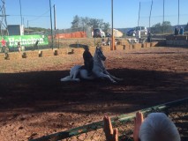 36371e5a-ca24-4fe8-b152-0b1c3c95435a (1)