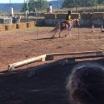 4912d315-0076-4516-aa89-3f7e3ac6c21a (1)