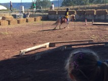 4912d315-0076-4516-aa89-3f7e3ac6c21a (1)