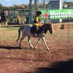 78fc4943-f32e-4d50-8c25-29282dcab079 (1)