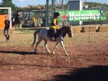 78fc4943-f32e-4d50-8c25-29282dcab079 (1)