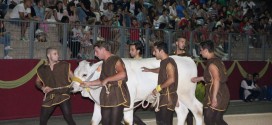 “Fuga del Bove”: fervono a Montefalco i preparativi per la corsa dei bovi