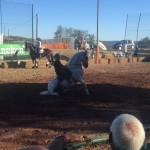 ec26247d-12a0-4f6f-afdc-a6962c0f5953 (1)