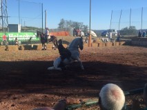 ec26247d-12a0-4f6f-afdc-a6962c0f5953 (1)