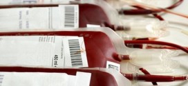 Approvato il piano regionale sangue e plasma 2016-2018