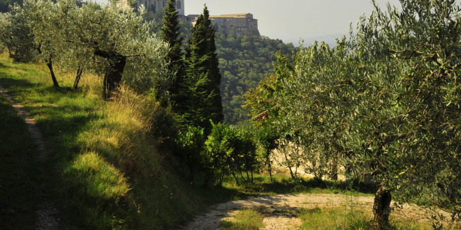 Assisi, al bosco di San Francesco la mostra “Nature dal mondo”