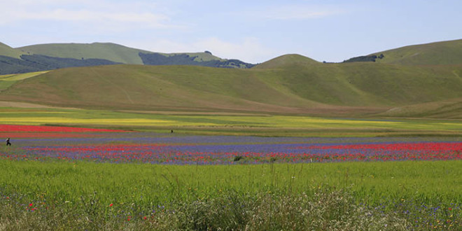 Ecomusei dell’Umbria: aperte le iscrizioni per entrare a far parte della rete regionale