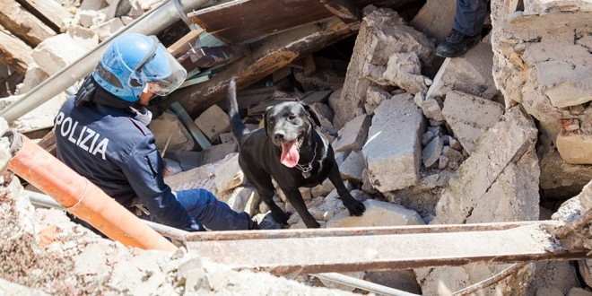 Al “Perugia Pet Village” arrivano i cani-eroi impegnati nelle zone del sisma