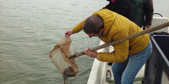 Ambiente, l’anguilla torna a ripopolare il lago Trasimeno