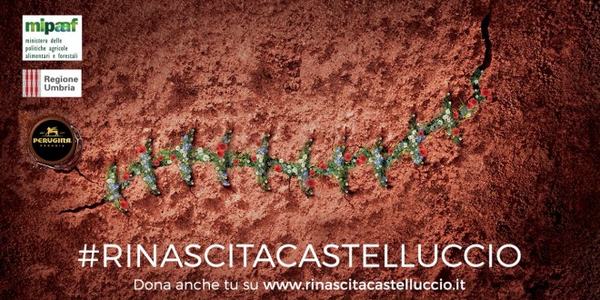 Dalle ferite del terremoto una nuova fioritura: Regione, Mipaaf e Perugina insieme per la rinascita di Castelluccio di Norcia