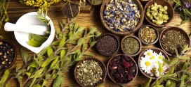 Naturopatia e Fitoterapia: le differenze