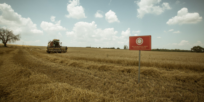 L’agricoltura si fa sostenibile con Birra Peroni: a Perugia la giornata di formazione sull’utilizzo della piattaforma “Horta”