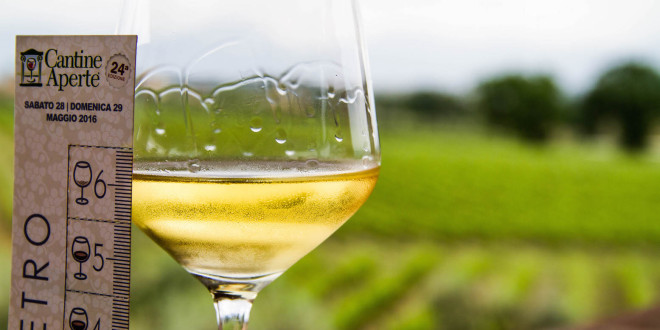 Il vino umbro sempre più protagonista di un turismo di qualità in regione