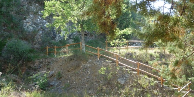 Bocconi avvelenati per cani al parco di Lacugnano, Mori (Pd) lancia l’allarme: “Il Comune intervenga subito”