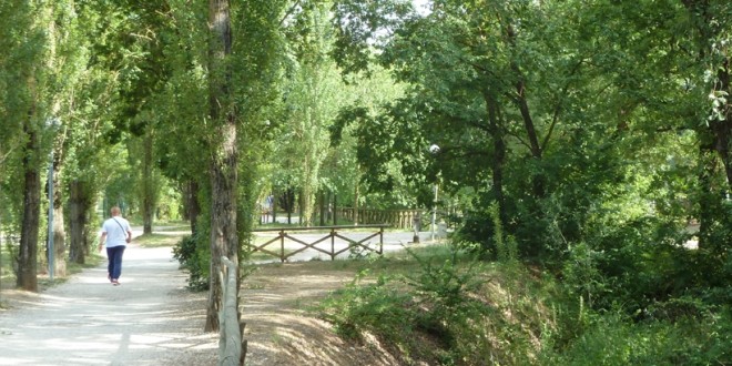 Nuovo accordo tra Comune e Lav Perugia per la salvaguardia degli animali presenti nel laghetto di Pian di Massiano