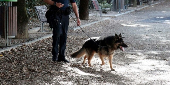 Umbertide, nasconde cocaina in casa ma i carabinieri lo scoprono: nei guai un 50enne di origine albanese