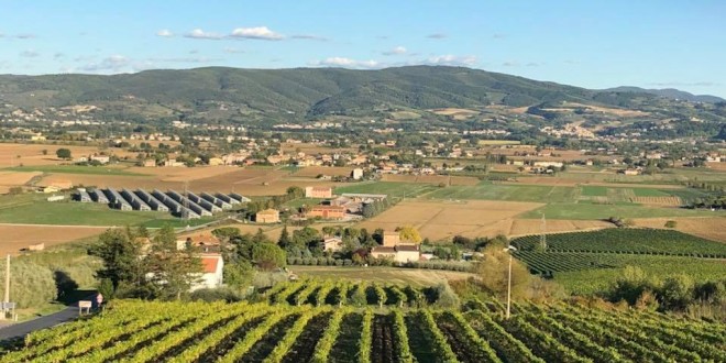 Strada dei vini del cantico, ottobre e novembre ricchi di appuntamenti