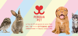 Tutto pronto per “Perugia Pet”: il 14 e il 15 ottobre a Umbria Fiere esposizioni, eventi e gare dedicate agli animali da compagnia