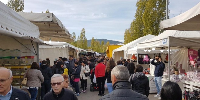 Lega Nord Perugia: “Parcheggiatori abusivi, per certe manifestazioni e per il mercato settimanale, serve un piano ordinario, non straordinario”